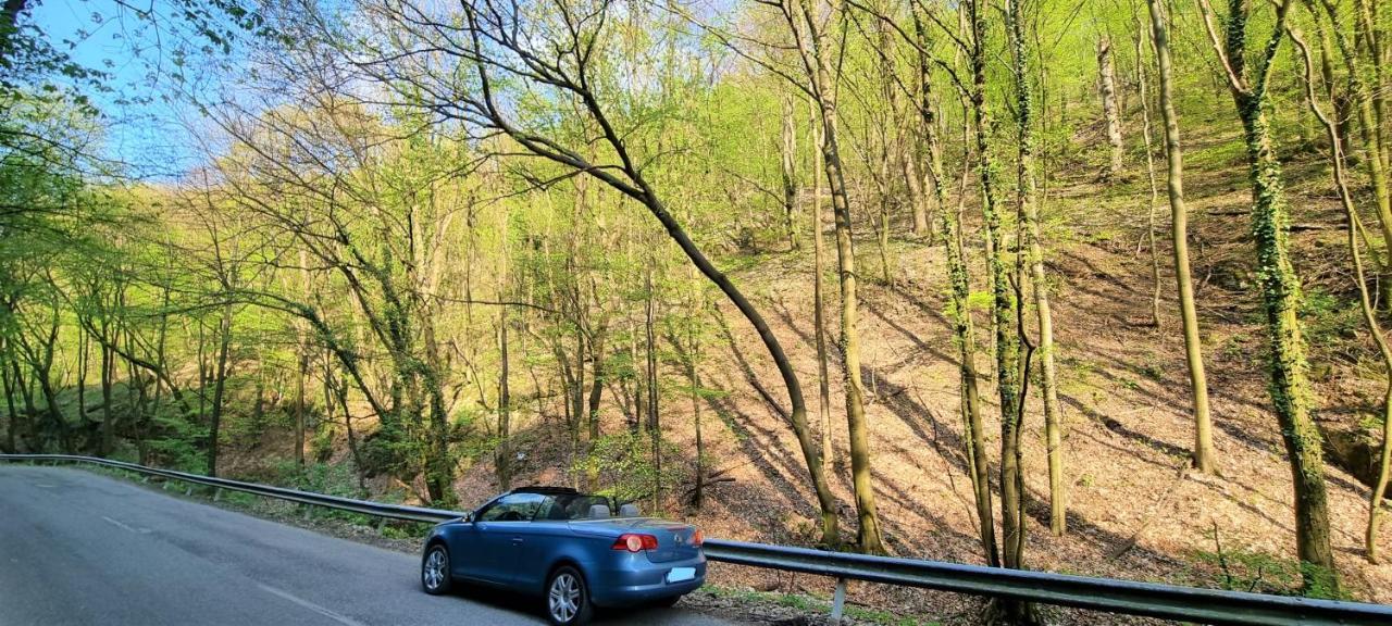 Hos-Cegledi Vendeghaz Miskolc -Oenallo Otthon, Mely Csak Az Oenoeke Exteriér fotografie
