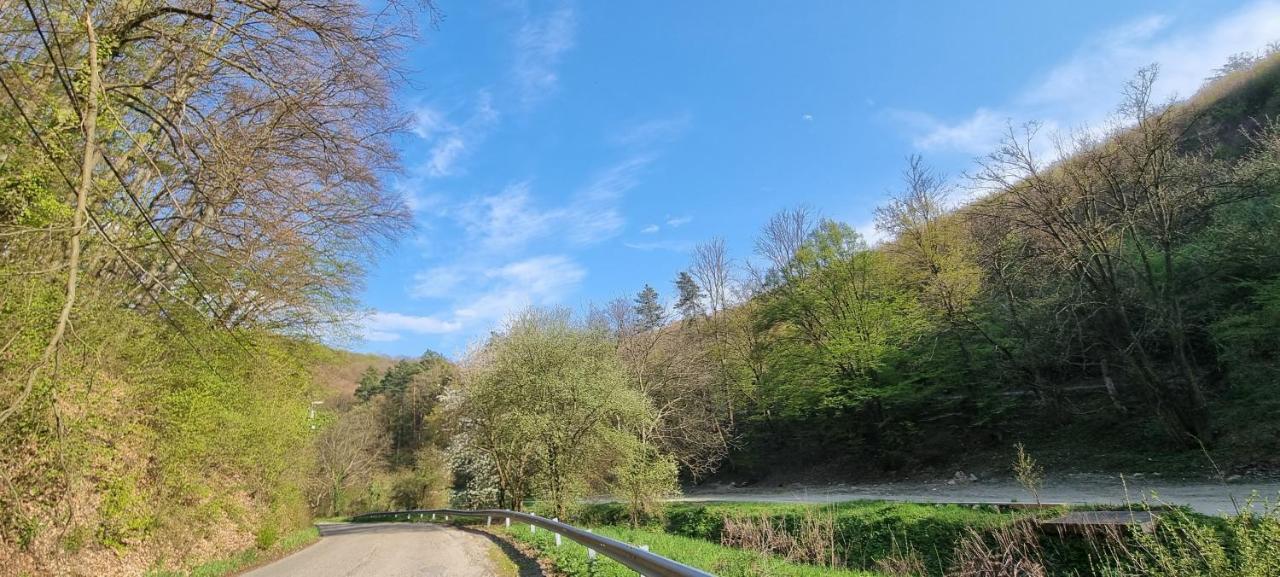 Hos-Cegledi Vendeghaz Miskolc -Oenallo Otthon, Mely Csak Az Oenoeke Exteriér fotografie