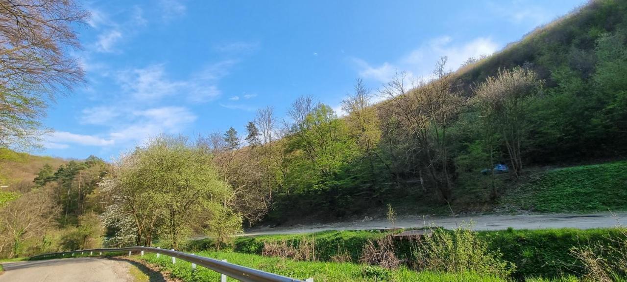 Hos-Cegledi Vendeghaz Miskolc -Oenallo Otthon, Mely Csak Az Oenoeke Exteriér fotografie