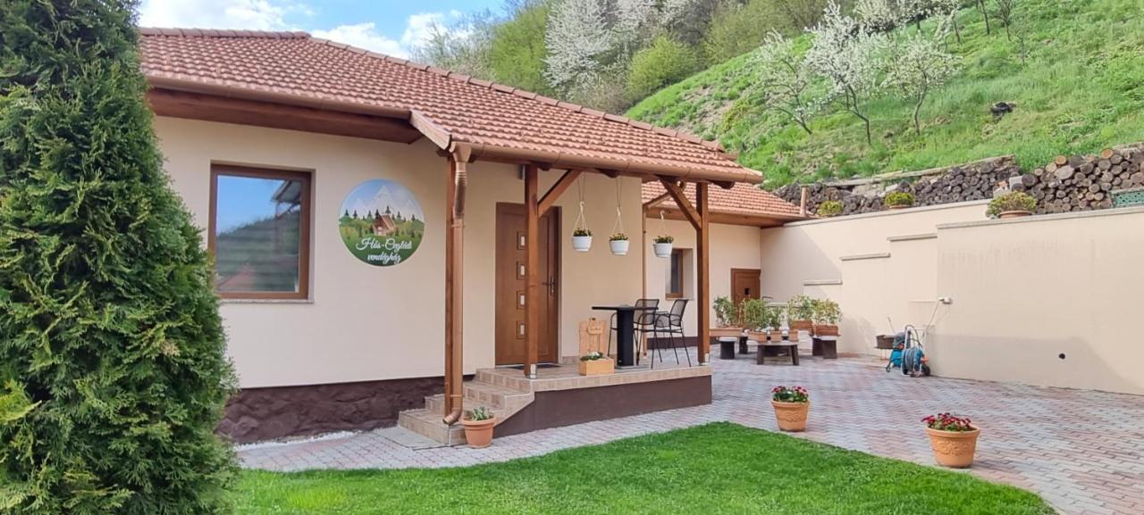 Hos-Cegledi Vendeghaz Miskolc -Oenallo Otthon, Mely Csak Az Oenoeke Exteriér fotografie