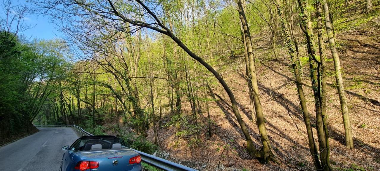 Hos-Cegledi Vendeghaz Miskolc -Oenallo Otthon, Mely Csak Az Oenoeke Exteriér fotografie