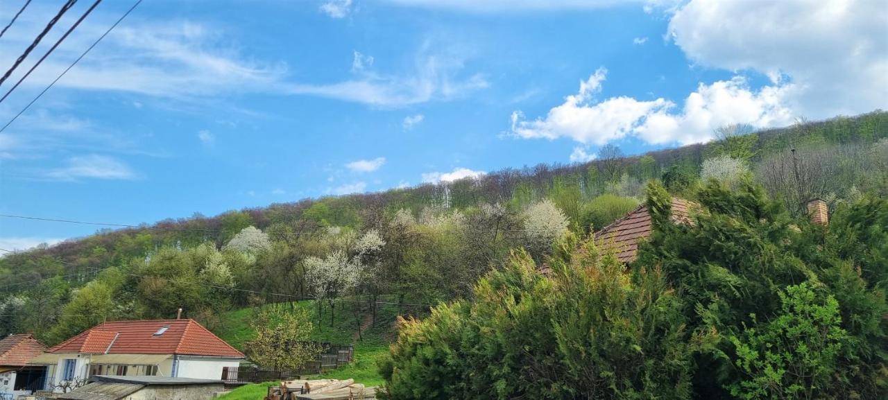 Hos-Cegledi Vendeghaz Miskolc -Oenallo Otthon, Mely Csak Az Oenoeke Exteriér fotografie
